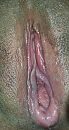 zalig en gevoelig mmmm, foto 954x1782, 12 reacties, 32 stemmen