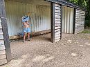 zalig, foto 4000x3000, 17 reacties, 74 stemmen