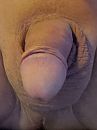 zin in sex, foto 2208x2944, 0 reacties, 2 stemmen
