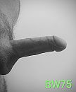 zin, nu ...., foto 1934x2320, 1 reacties, 2 stemmen