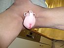 zit heerlijk, foto 2592x1944, 1 reacties, 6 stemmen