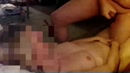 zkn oraalbiman vr foto/video, film 00:00:00, 17 reacties, 71 stemmen