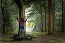 zo wil ik wel in het bos zijn, foto 891x586, 1 reacties, 3 stemmen