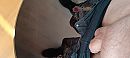 zoekt ....., foto 4000x1796, 0 reacties, 2 stemmen