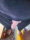 zomaar, foto 3000x4000, 0 reacties, 1 stemmen