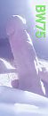zonovergoten zin....., foto 1669x4000, 0 reacties, 3 stemmen