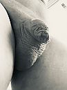 zw, foto 480x640, 1 reacties, 7 stemmen