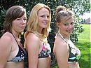 , foto 500x375, 6 reacties, 0 stemmen