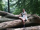 , foto 3264x2448, 7 reacties, 0 stemmen
