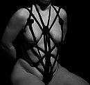 , foto 2448x2320, 0 reacties, 1 stemmen