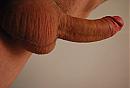 .-.-.-.-.-.-, foto 2896x1944, 0 reacties, 1 stemmen