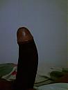 ...., foto 1200x1600, 0 reacties, 3 stemmen