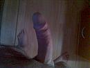 ..., foto 640x480, 6 reacties, 15 stemmen