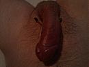 .., foto 2560x1920, 0 reacties, 3 stemmen