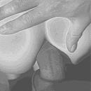 ., foto 1943x1943, 0 reacties, 7 stemmen