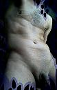 10  vier  elf, foto 763x1199, 0 reacties, 0 stemmen