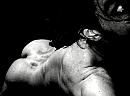 2  vier  elf, foto 2466x1819, 0 reacties, 0 stemmen