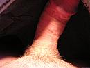 5, foto 1600x1200, 0 reacties, 0 stemmen