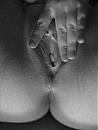 7, foto 458x612, 10 reacties, 17 stemmen
