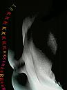 8, foto 894x1199, 0 reacties, 0 stemmen