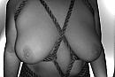 BAKI, foto 2592x1728, 2 reacties, 9 stemmen