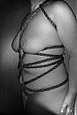 BAKI, foto 1740x2609, 3 reacties, 12 stemmen