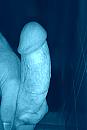 Blue dreams, foto 864x1296, 1 reacties, 3 stemmen