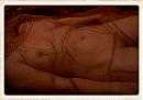 Cleo, foto 1008x701, 0 reacties, 1 stemmen