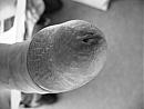 Close Up, foto 2048x1536, 0 reacties, 1 stemmen