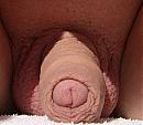 Close Upje, foto 915x794, 3 reacties, 4 stemmen