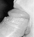 Close embracing, foto 775x852, 3 reacties, 9 stemmen