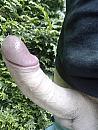 Close.., foto 1200x1600, 0 reacties, 4 stemmen