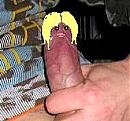 Dom Blondje, foto 572x530, 0 reacties, 1 stemmen