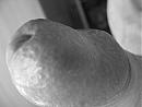 Eikel, foto 2048x1536, 0 reacties, 2 stemmen