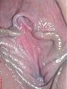 FK,wide open., foto 1224x1632, 3 reacties, 4 stemmen