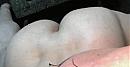 FRISSE BILLEN, foto 910x463, 0 reacties, 0 stemmen