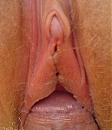 Geil he, foto 773x898, 3 reacties, 4 stemmen