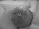 Geil..., foto 2592x1944, 0 reacties, 0 stemmen