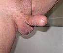 Geile pik, foto 1247x1047, 0 reacties, 1 stemmen