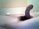 Goed, foto 640x480, 1 reacties, 1 stemmen