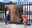 Grab it, foto 600x533, 3 reacties, 10 stemmen