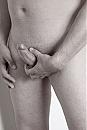 Grip, foto 570x854, 4 reacties, 20 stemmen