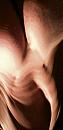 HUH, foto 476x996, 0 reacties, 0 stemmen