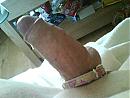Haay boys, foto 1600x1200, 0 reacties, 2 stemmen