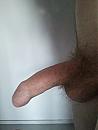 Halfstijf, foto 1920x2560, 1 reacties, 1 stemmen