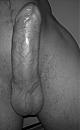 Hard, foto 1583x2592, 1 reacties, 2 stemmen