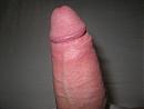 Harde pik, foto 2816x2112, 0 reacties, 5 stemmen