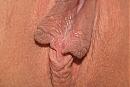 Hield het niet meer, foto 3456x2304, 49 reacties, 74 stemmen