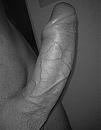 Hongerig, foto 1200x1559, 0 reacties, 2 stemmen