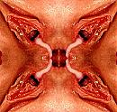 Humor, foto 621x591, 2 reacties, 9 stemmen